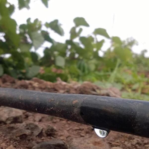 Agricultural and rural irrigation system for Geelong farmers, agribusinesses and rural property owners