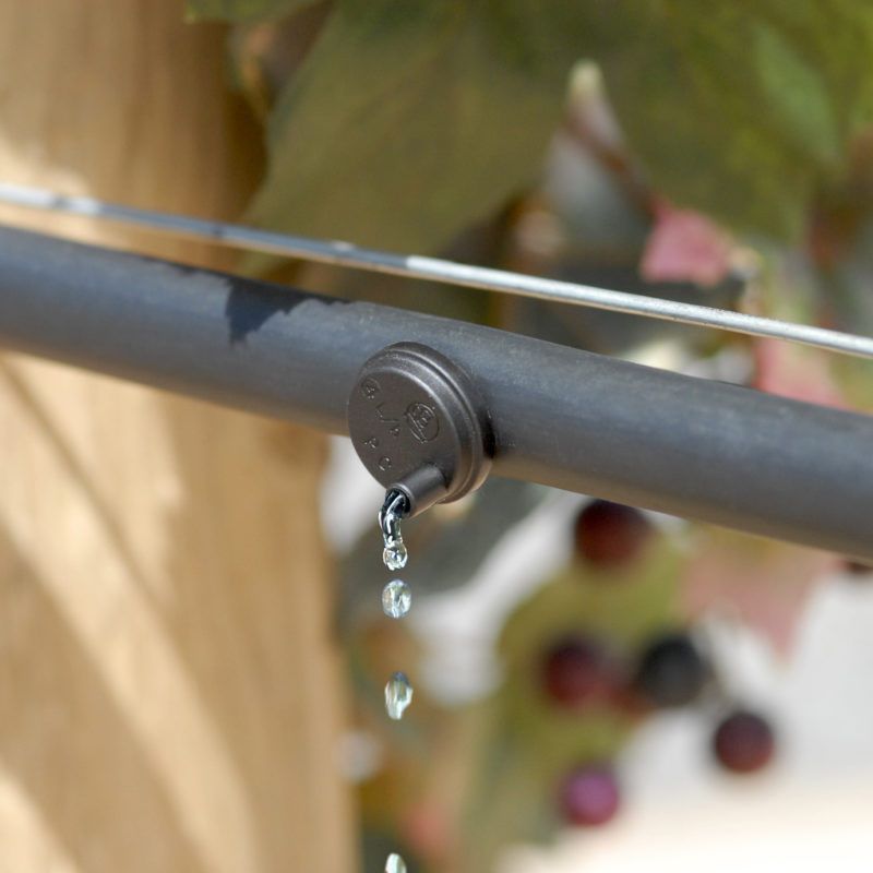 Drip irrigation system for Geelong properties