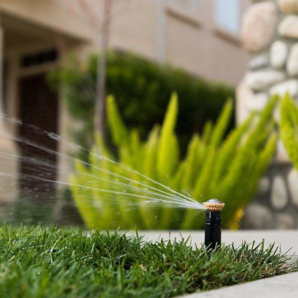 Home irrigation systems installed in Geelong
