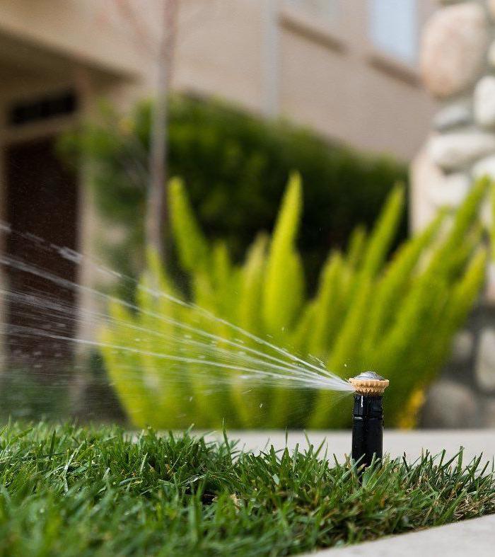 Home irrigation systems installed in Geelong