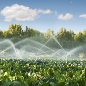 Irrigation solutions for all sectors