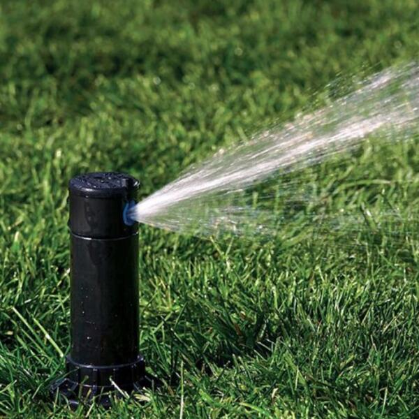 Irrigation system auditing